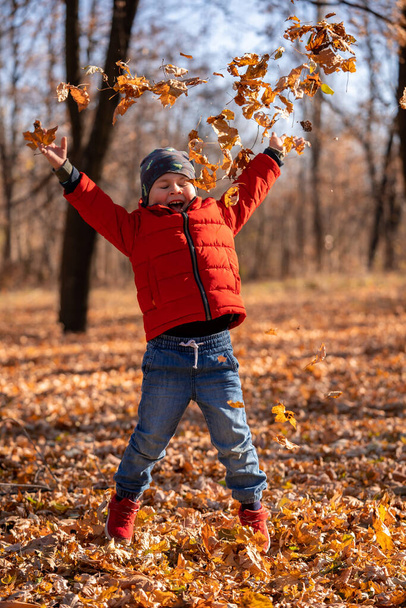 Ένα τετράχρονο αγοράκι παίζει στο πάρκο του φθινοπώρου. Πήδα και πέτα φύλλα. Ευτυχισμένο παιδί περπατά έξω. - Φωτογραφία, εικόνα