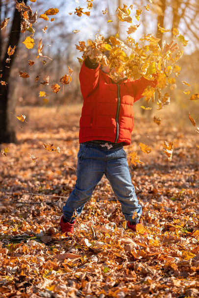 Little four years old boy play in the autumn park. Child jump and throw leaves. Happy kid walk outdoors. - Фото, изображение