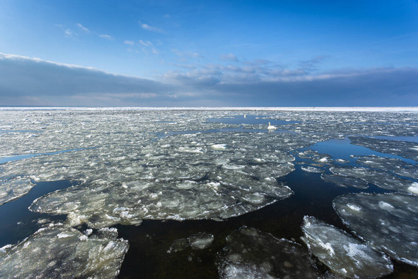 Zimní krajina u moře na ostrově Sobieszewska. Pláž posetá sněhem, ledová kachna plovoucí ve vodách zátoky. Severní Polsko. - Fotografie, Obrázek