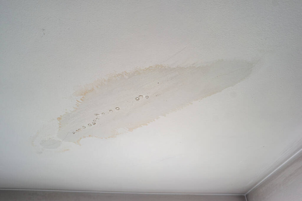 Leaky roof dampness in bedroom ceiling walls. Water droplets forming and dripping from damp ceiling from rain water flooding. Close shot, no people. - Photo, image