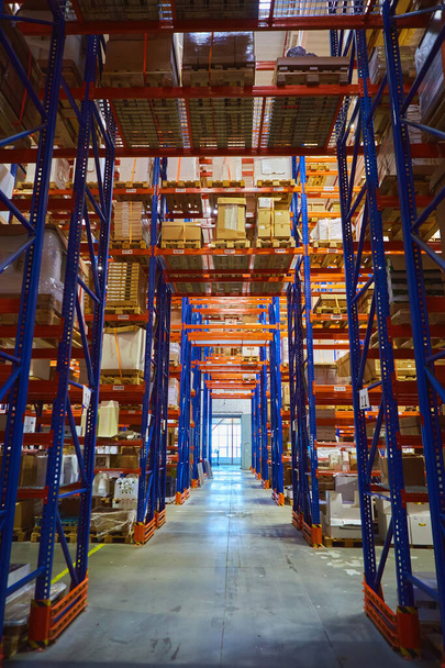 Interior of a modern warehouse storage of retail shop with pallet truck near shelves - Foto, Imagem