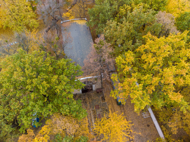 Track line and train shed in vivid yellow autumn forest. Fly above Children's Southern Railway Station. Aerial treetop view on colorful Kharkiv, travel Ukraine - Foto, immagini