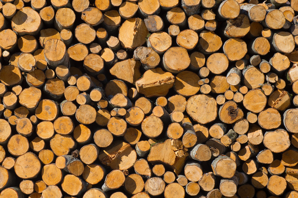 Odun yığını - Fotoğraf, Görsel