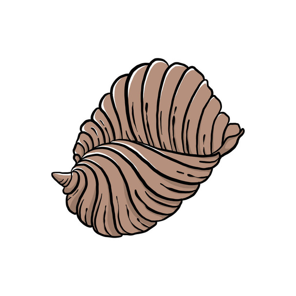 colorful seashell illustration. animated nautical animal in vector graphic for creative design. aquatic object animation isolated on white background. - Vektor, kép