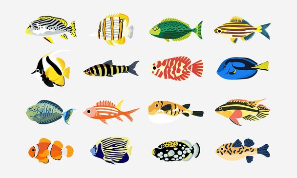collection set of coral fish illustration. the hand drawing of under the sea life. hand drawn vector animation. adorable and beautiful fishes of marine life. - Vecteur, image