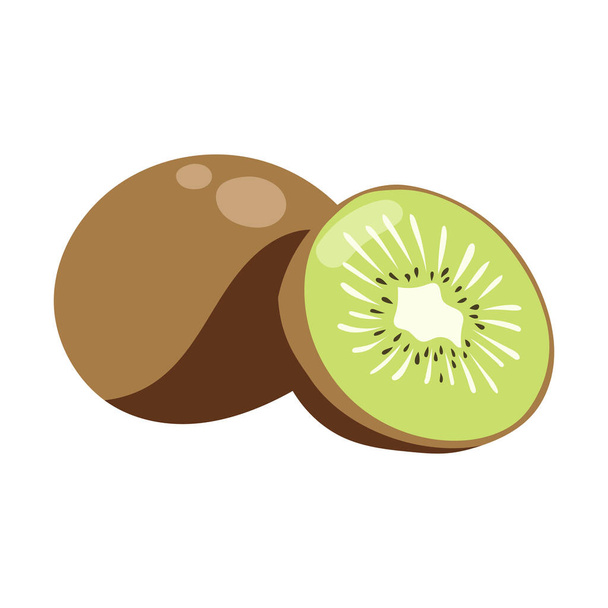 fresh kiwi sliced. the tropical fruits illustration collection in vector design. healthy, juicy, and sour food. colorful fruit animation isolated on white background. - ベクター画像