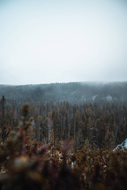 Wild nature in the autumn breath and with the morning mist offers an unprecedented view of the wooded landscape. Korouoma Gorge in Syote National Park. Lapland, Finland. - Φωτογραφία, εικόνα