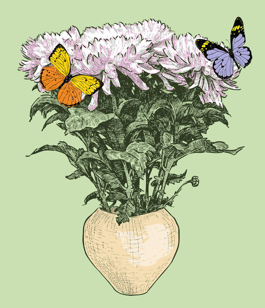 Dibujo a mano de ramo de crisantemos de jardín blanco en jarrón y dos mariposas de colores - Vector, imagen