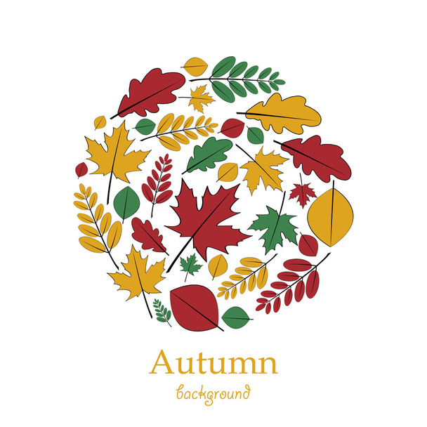 Set of autumn leaves located on a circle - Vector, Image