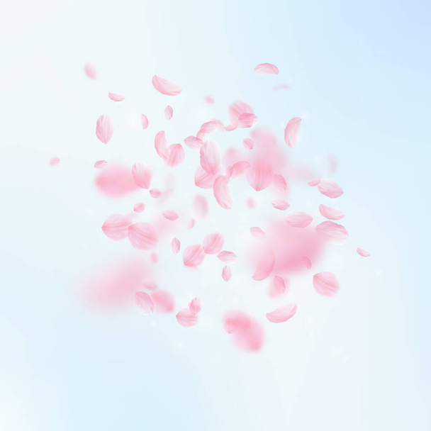 Sakura petals falling down. Romantic pink flowers explosion. Flying petals on blue sky square background. Love, romance concept. Exotic wedding invitation. - Foto, Imagem