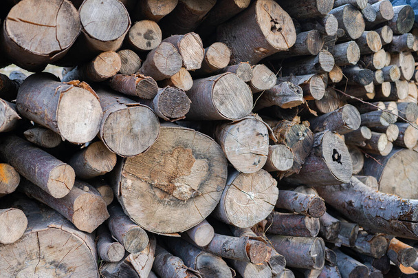 A pile of firewood drying before winter - Φωτογραφία, εικόνα