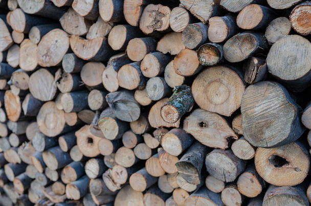 A pile of firewood drying before winter - Foto, immagini