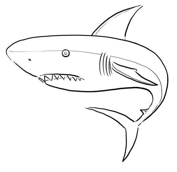 Белое искусство акул
 - Фото, изображение