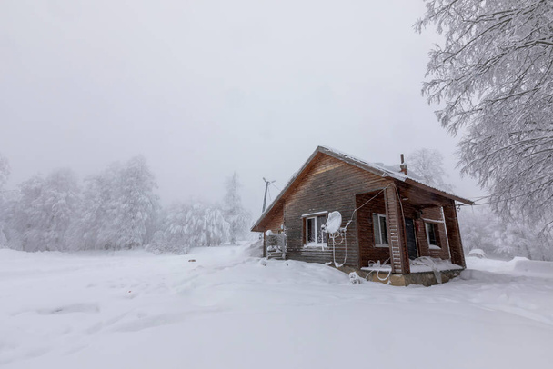 χιονισμένα δέντρα κατάλευκα και ένα σπίτι - Φωτογραφία, εικόνα