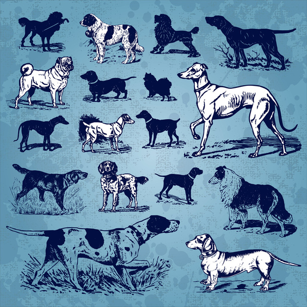 Set vintage perros (vector
) - Vector, imagen