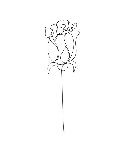 a one line art illustration of a rose. a continuous hand drawn drawing in vector. an illustration for an art print, tattoo, beauty product or shop, etc. - Vector, Image