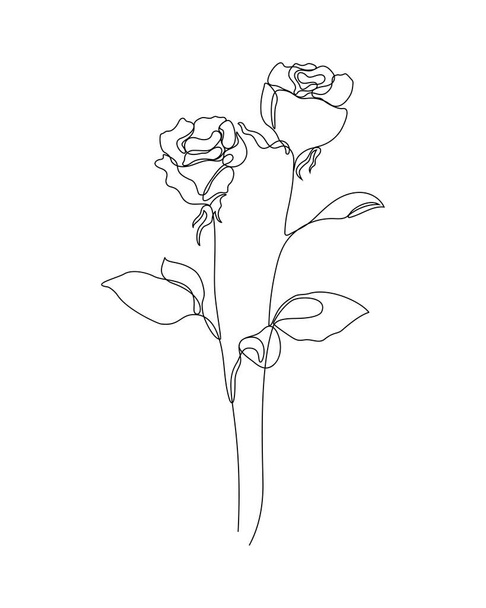 a one line art illustration of roses. a continuous hand drawn drawing in vector. an illustration for an art print, tattoo, beauty product or shop, etc. - Vektör, Görsel