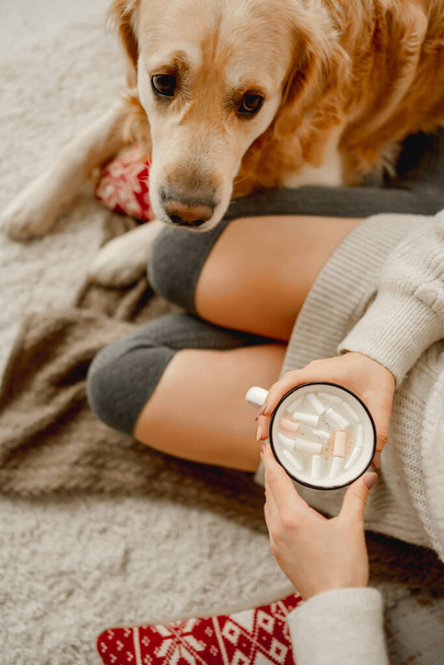 Girl with cocoa and golden retriever dog - 写真・画像