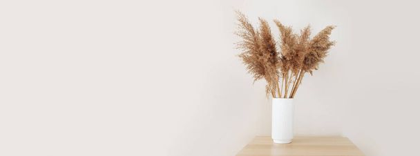 Pampas grass in a vase near white wall background, copy space - Zdjęcie, obraz