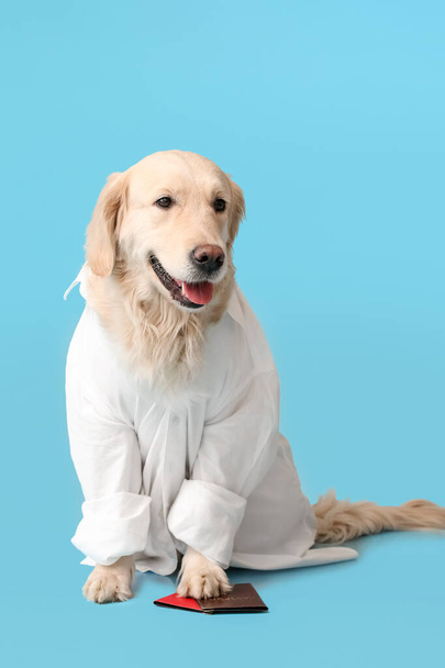 Obchodní pes s pasy na barevném pozadí - Fotografie, Obrázek