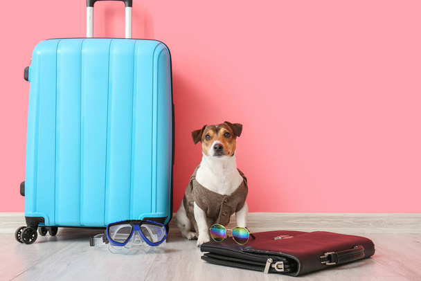 Business dog with suitcase and briefcase near color wall - Foto, Imagem
