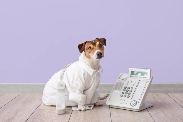 Perro de negocios con teléfono cerca de la pared de color - Foto, Imagen