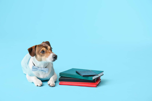 Renkli pasaport ve defterleri olan bir iş köpeği. - Fotoğraf, Görsel