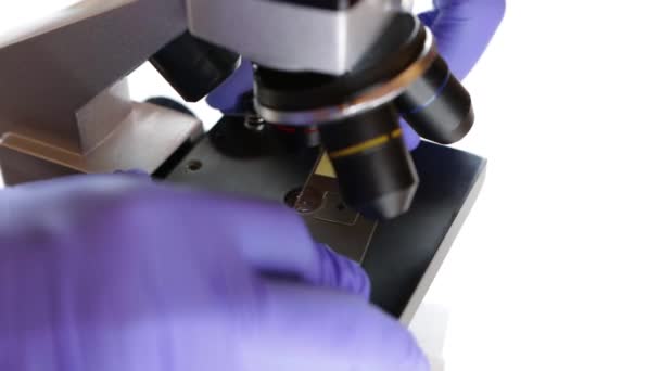  Использование микроскопа для биотехнологических медицинских исследований на белом фоне, копировальное пространство - Кадры, видео