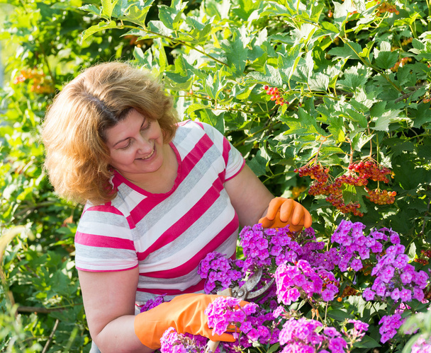 pretty woman looks after behind plants in garden - Photo, Image