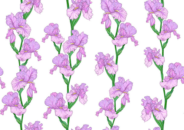 Seamless pattern with Iris flowers, purple and blue irises. - Vecteur, image
