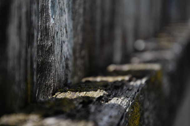 Abstract background. Old wooden fence. The sun's rays break through the wooden beams. Moss surface texture on wood with copy space. - Photo, Image