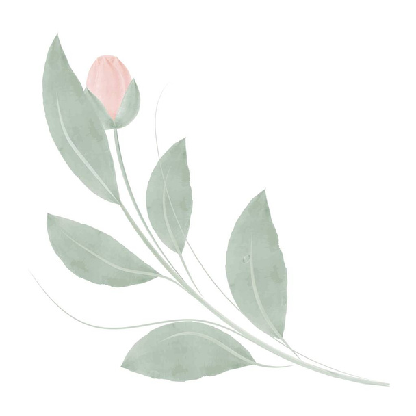 A watercolor twig with green leaves and a flower. Rose. Bouquet. Vector illustration isolated on a white background. Watercolor style. - Vektor, kép
