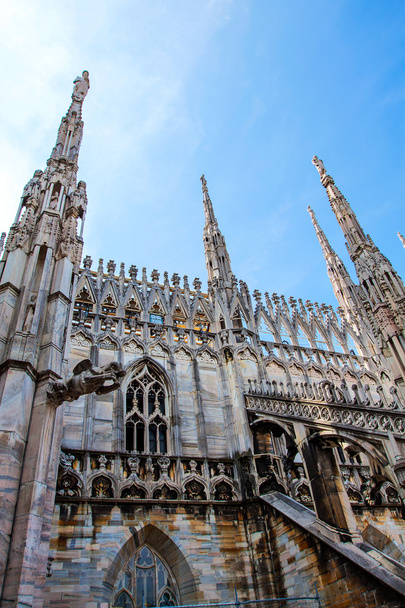 İtalya, Milano duomo Katedrali  - Fotoğraf, Görsel