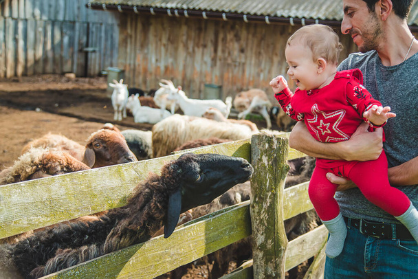 Baby petting a goat on the farm. Selective focus. Nature. - Foto, afbeelding