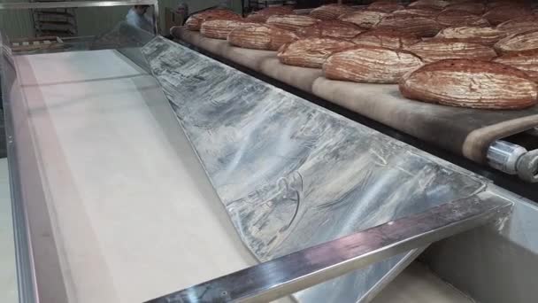 Vers gebakken broden van heerlijk roggebrood rollen op een transportband uit de oven. Moderne geautomatiseerde bakkerij. Levensmiddelenindustrie - Video