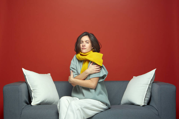 Sick young woman feeling cold hugging herself sitting on sofa, shivering freezing warming having fever temperature - Fotografie, Obrázek