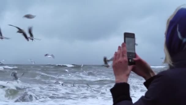 Una mujer toma fotos de una tormenta en el mar y un montón de pájaros en su teléfono inteligente. - Metraje, vídeo