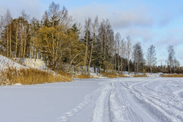 Winter landscape with trees and a lake in the Leningrad region.  - Valokuva, kuva