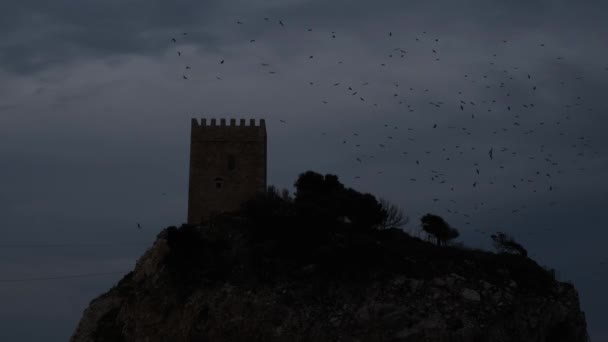 castle, birds flying around the castle, evening - Video, Çekim