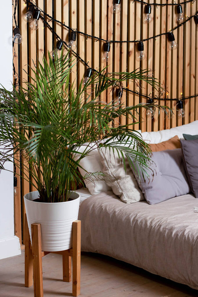 Areca flower chrysalidocarpus in a white pot, with wooden legs next to the bed. Against the background of a white wall and a wooden one. - Foto, imagen