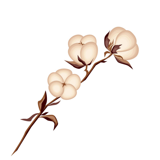 Botanic vector illustration. Decorative floral design isolated on white background. - Vektor, obrázek