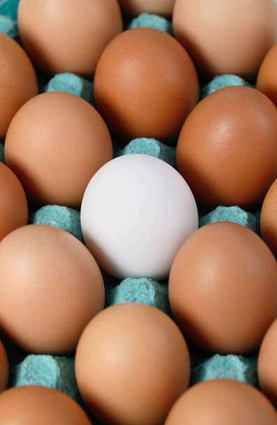 Primer plano de un solo huevo blanco en caja entre huevos marrones - Foto, imagen