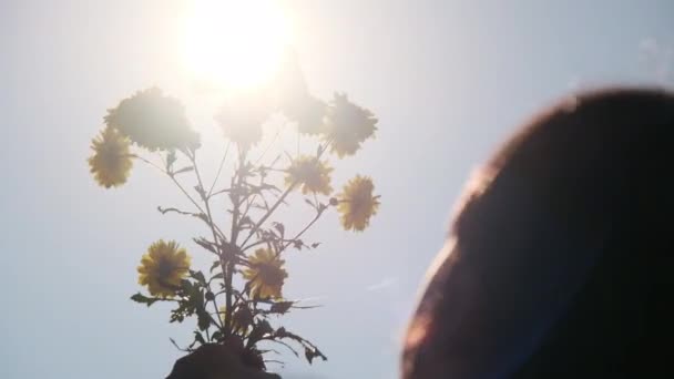 De hand van het gelukkige meisje reikte uit met een boeket bloemen tegen de zon silhouet zonlicht.. - Video