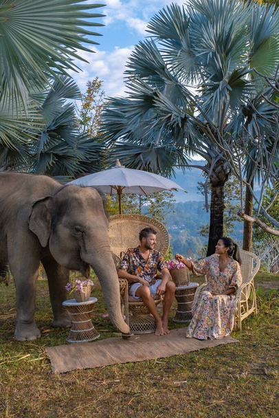 Elefante en la selva en el santuario en Chiang Mai Tailandia, granja de elefantes en la jungla de moutnains de Chiang Mai Tailand - Foto, Imagen
