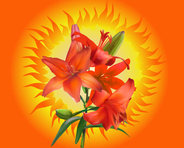 ilustração com flor de lírio no fundo laranja - Vetor, Imagem
