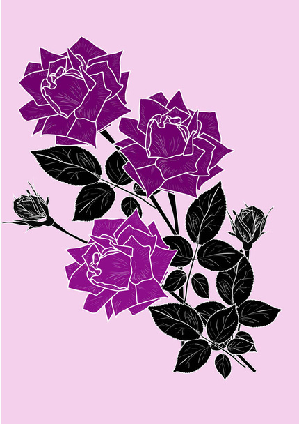 illustration with bunch of roses sketch isolated on pink background - ベクター画像