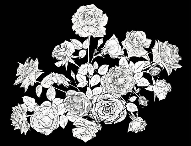 黒を背景にバラのスケッチがたくさん描かれています - ベクター画像