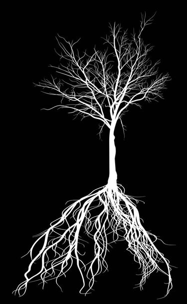 illustration with white large tree silhouette isolated on black background - Vector, Image