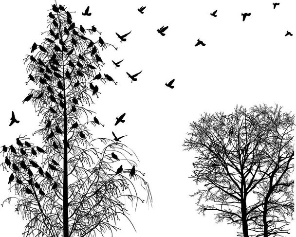 illustratie met vogels en boom in de late herfst geïsoleerd op witte achtergrond - Vector, afbeelding