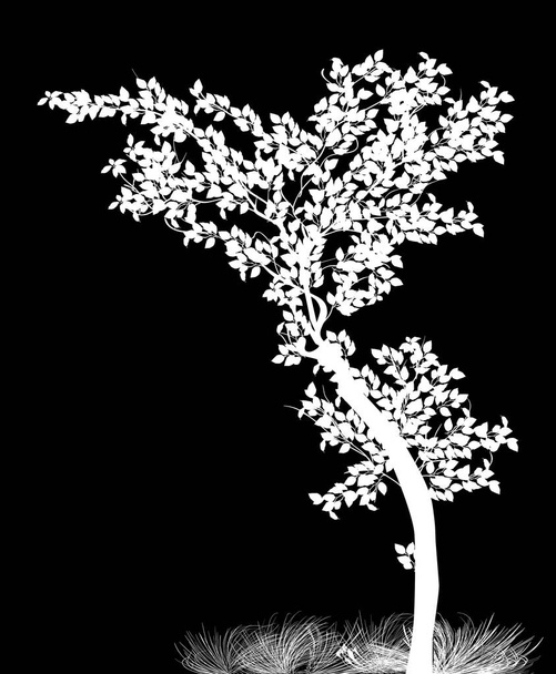 Illust: Witte boom geïsoleerd op zwarte achtergrond - Vector, afbeelding